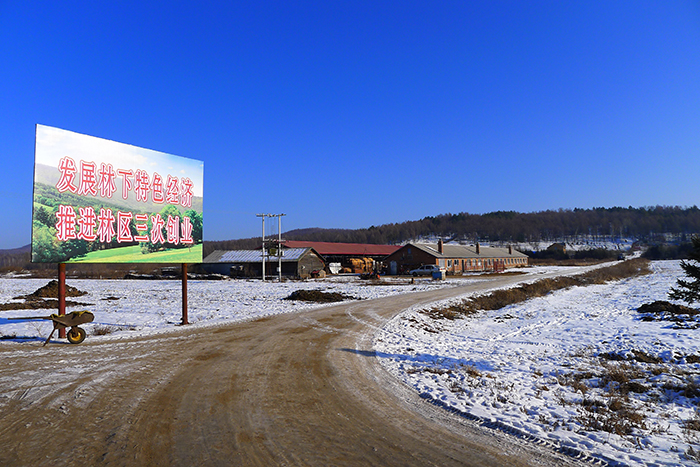 大小興安嶺林區(qū)接續(xù)替代產(chǎn)業(yè)專項(xiàng)實(shí)施方案編制 大小興安嶺林區(qū)接續(xù)替代產(chǎn)業(yè)專項(xiàng)實(shí)施方案編制